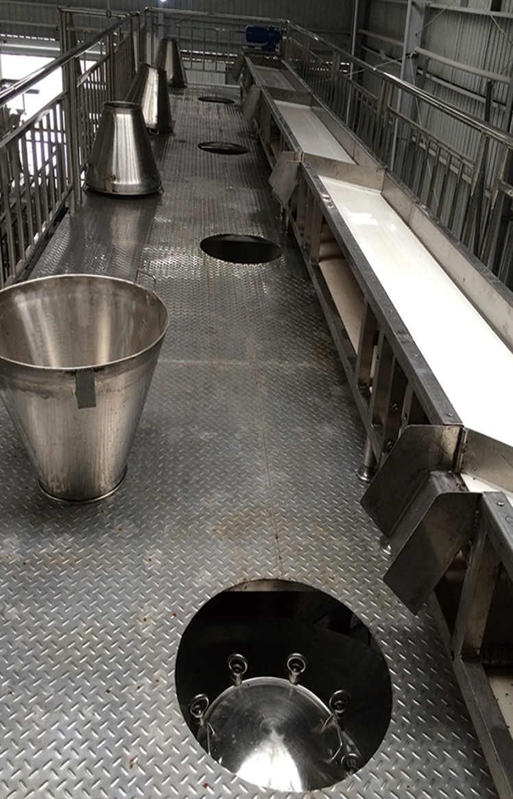 皮帶輸送機(jī)