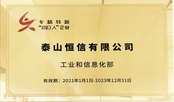 國(guó)家專(zhuān)精特新“小巨人”企業(yè)
